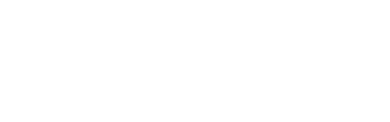 BOLA ONLINE